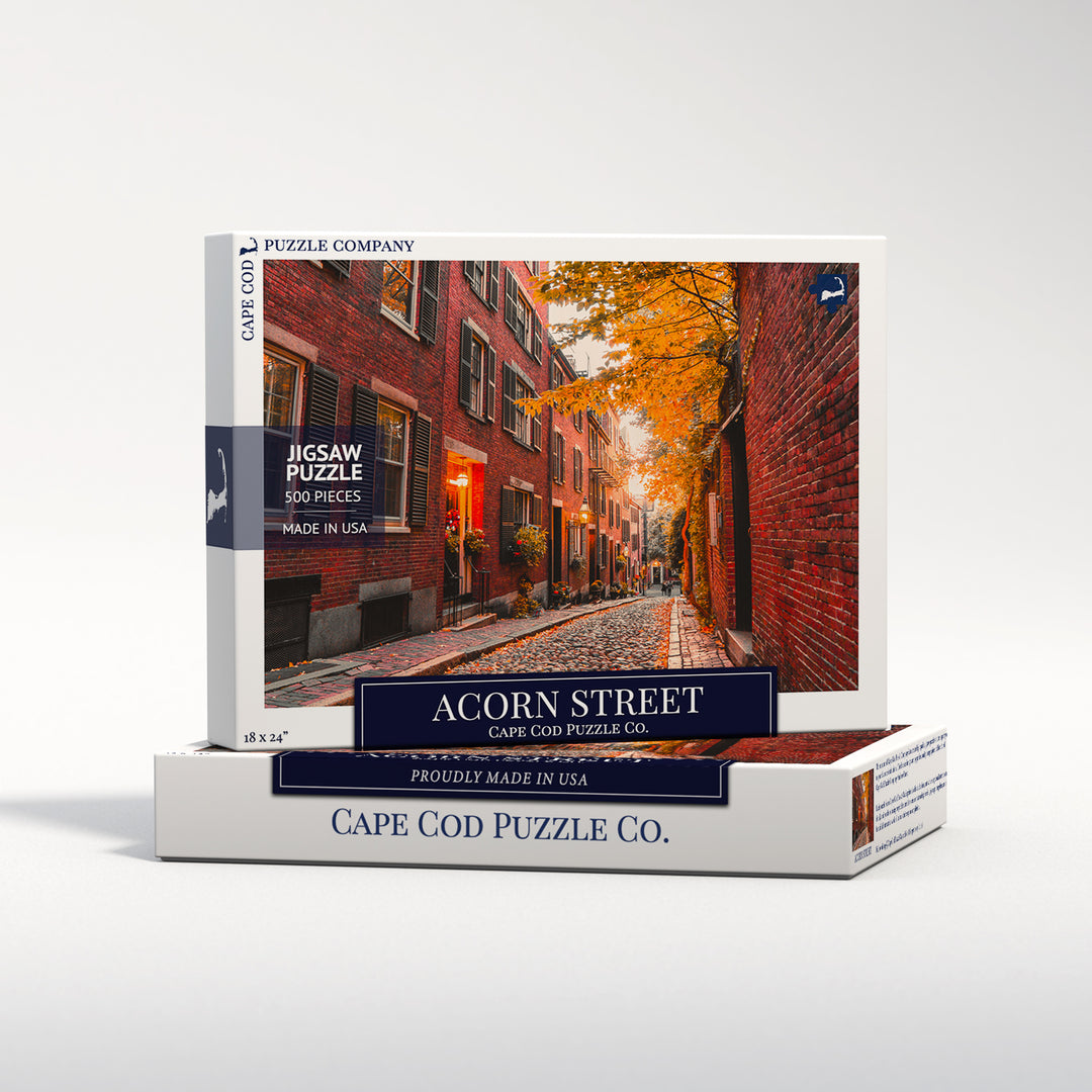 Acorn Street - Boston Jigsaw Puzzle