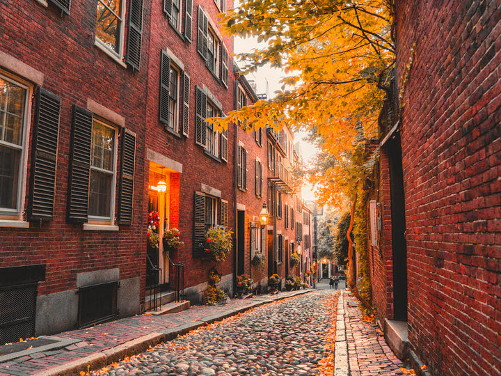 Acorn Street - Boston Jigsaw Puzzle