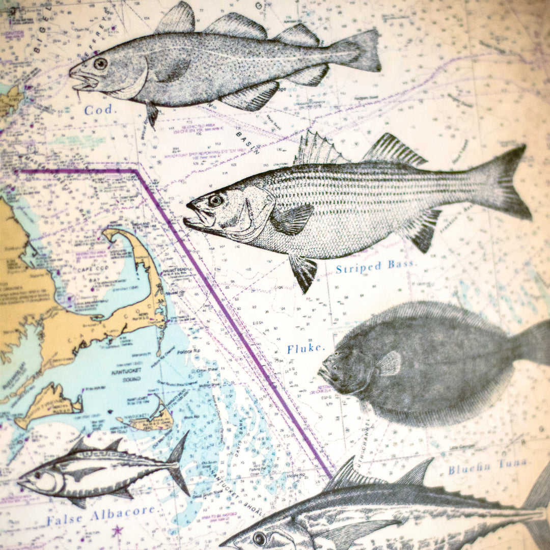 Fish of the Northeast Jigsaw Puzzle